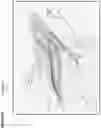 Fig. 12 - DESIGN ENGINEERING TOOLS FOR VISUALIZING EXISTING UTILITY LINES WITHIN A LAND AREA AND VALIDATING PLACEMENT OF NEW UTILITY LINES