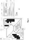 Fig. 03 - Systems and method for determining solar panel placement and energy output