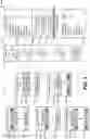 Fig. 04 - PRODUCTION SYSTEM TO MODEL AND ANALYZE A MANUFACTURING PROCESS