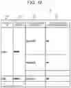Fig. 10 - VULNERABILITY EVALUATION APPARATUS, VULNERABILITY EVALUATION SYSTEM, AND VULNERABILITY EVALUATION METHOD