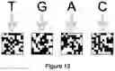 Fig. 12 - Optical processing systems