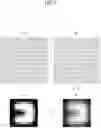 Fig. 12 - Moving fingerprint recognition method and apparatus using display