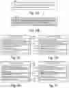 Fig. 06 - Named entity recognition with convolutional networks