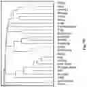Fig. 17 - System and method for learning scene embeddings via visual semantics and application thereof