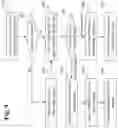 Fig. 19 - System and method for learning scene embeddings via visual semantics and application thereof