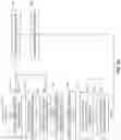 Fig. 13 - Deep learning medical systems and methods for image reconstruction and quality evaluation