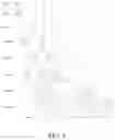 Fig. 03 - Counting elements in neural network input data