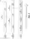 Fig. 07 - AUDIO CORRELATION FOR VIEWERSHIP DETERMINATION