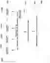 Fig. 12 - AUTOMATED WINDOW BASED FEATURE GENERATION FOR TIME-SERIES FORECASTING AND ANOMALY DETECTION