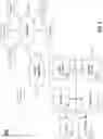 Fig. 10 - OPTIMIZATION OF BATCH REQUESTS