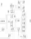 Fig. 34 - Determination of per line buffer unit memory allocation