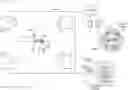 Fig. 01 - Methods and apparatus to generate masked images based on selective privacy and/or location tracking