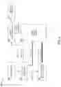 Fig. 08 - Super-resolution defect review image generation through generative adversarial networks