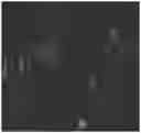 Fig. 01 - Cell analysis system, cell analysis program and cell analysis method