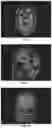 Fig. 12 - Systems and methods for image processing
