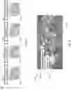 Fig. 13 - Crowd flow rate estimation