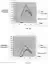 Fig. 05 - Stereoscopic image capture with performance outcome prediction in sporting environments