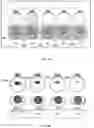 Fig. 09 - Stereoscopic image capture with performance outcome prediction in sporting environments