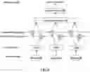 Fig. 05 - Prediction method for healthy radius of blood vessel path, prediction method for candidate stenosis of blood vessel path, and blood vessel stenosis degree prediction device