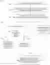 Fig. 01 - Digital overpainting controlled by opacity and flow parameters