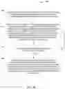Fig. 13 - System and method for improved data structures and related interfaces