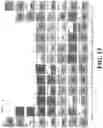 Fig. 17 - System and method for improved data structures and related interfaces