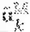 Fig. 20 - High-quality object-space dynamic ambient occlusion