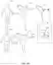 Fig. 05 - System for reconstructing three-dimensional (3D) human body model using depth data from single viewpoint