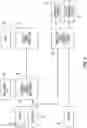 Fig. 06 - Cross layer traffic optimization for split XR