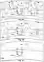 Fig. 04 - Sensory stimulus management in head mounted display