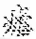 Fig. 06 - Chinese character structuring member, system of mortise and tenon joint structures of Chinese characters formed by Chinese character structuring member and method for inputting Chinese characters