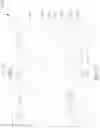 Fig. 10 - Display device