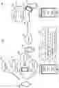 Fig. 02 - Speaker diarization