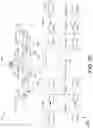Fig. 06 - Memory device with recycling arrangement for gleaned charge