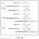 Fig. 09 - SEMICONDUCTOR MEMORY DEVICE