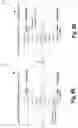Fig. 10 - Imprint-free write driver for ferroelectric memory