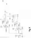 Fig. 11 - Imprint-free write driver for ferroelectric memory