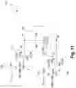 Fig. 13 - Imprint-free write driver for ferroelectric memory