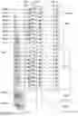 Fig. 03 - Memory system for restraining threshold variation to improve data reading