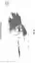 Fig. 11 - METHODS OF NORMALIZING AND CORRECTING RNA EXPRESSION DATA