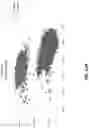 Fig. 12 - METHODS OF NORMALIZING AND CORRECTING RNA EXPRESSION DATA
