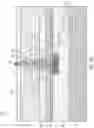 Fig. 11 - Vacuum channel transistor structures with sub-10 nanometer nanogaps and layered metal electrodes