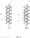 Fig. 09 - Field effect transistor using transition metal dichalcogenide and a method for forming the same