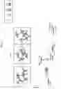 Fig. 05 - Etching Method, Etching Apparatus, and Storage Medium