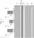 Fig. 06 - Extreme ultraviolet lithography patterning with directional deposition