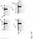 Fig. 10 - Hardened plug for improved shorting margin