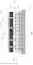 Fig. 12 - Dies with integrated voltage regulators