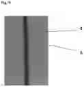 Fig. 05 - Ceramic-metal substrate with low amorphous phase