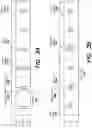 Fig. 04 - Tunable white lighting systems