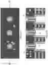 Fig. 42 - Three-dimensional memory device including bottle-shaped memory stack structures and drain-select gate electrodes having cylindrical portions